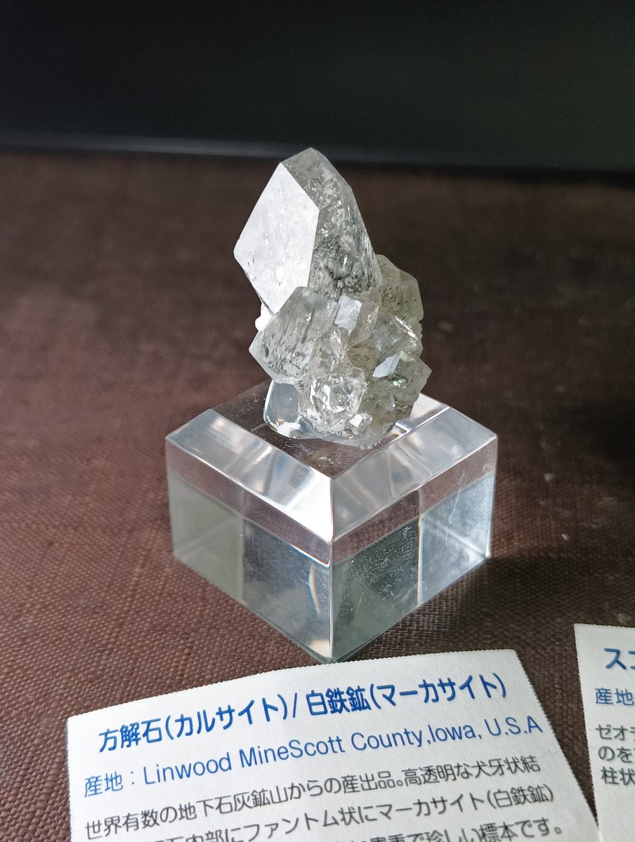 ジャッキー tweet media