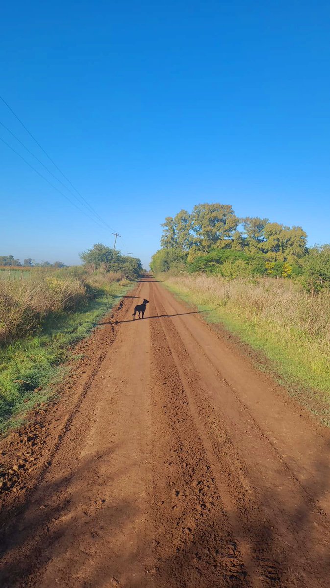 B. Beccar Varela tweet media