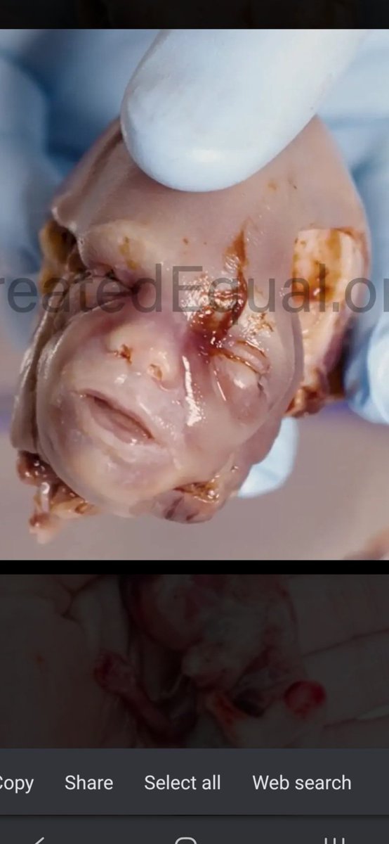 Not Sure tweet media