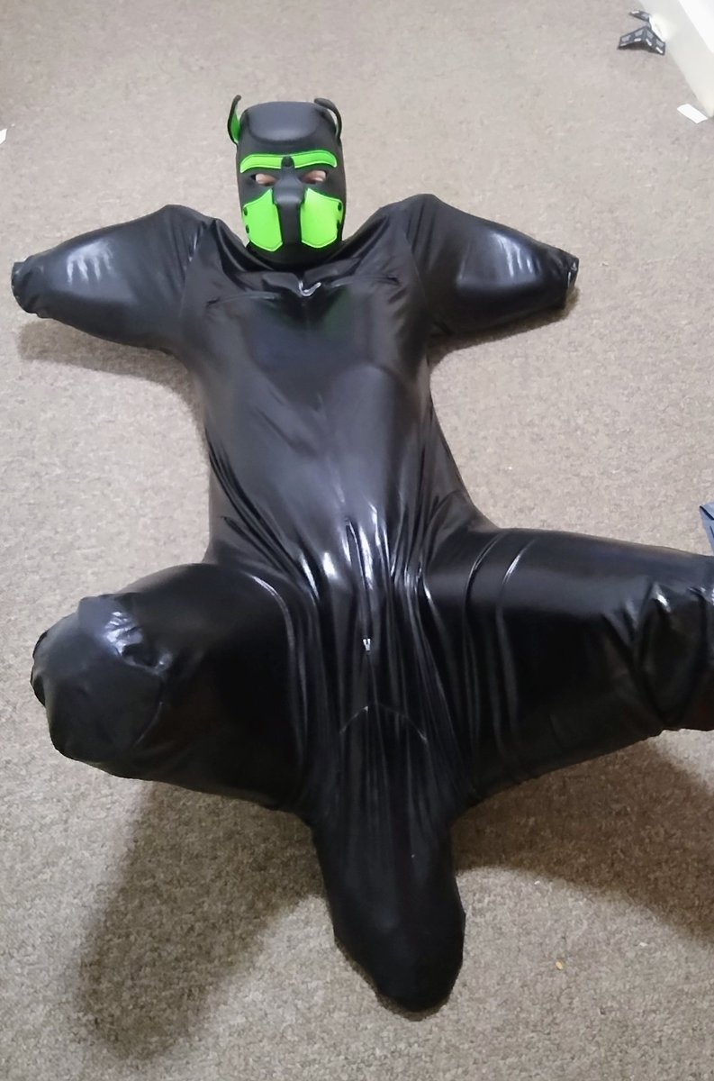 Naughty Pup tweet media
