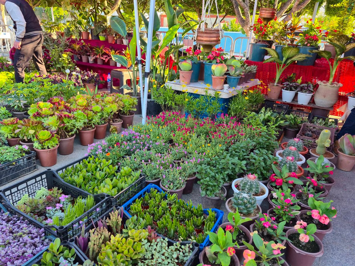 عبد الإله tweet media