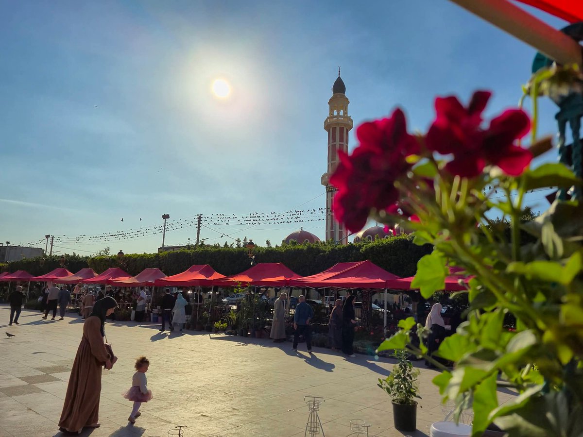 عبد الإله tweet media