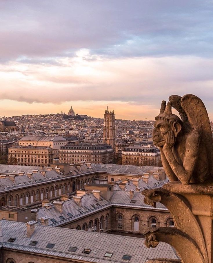 France Safety Travel tweet media