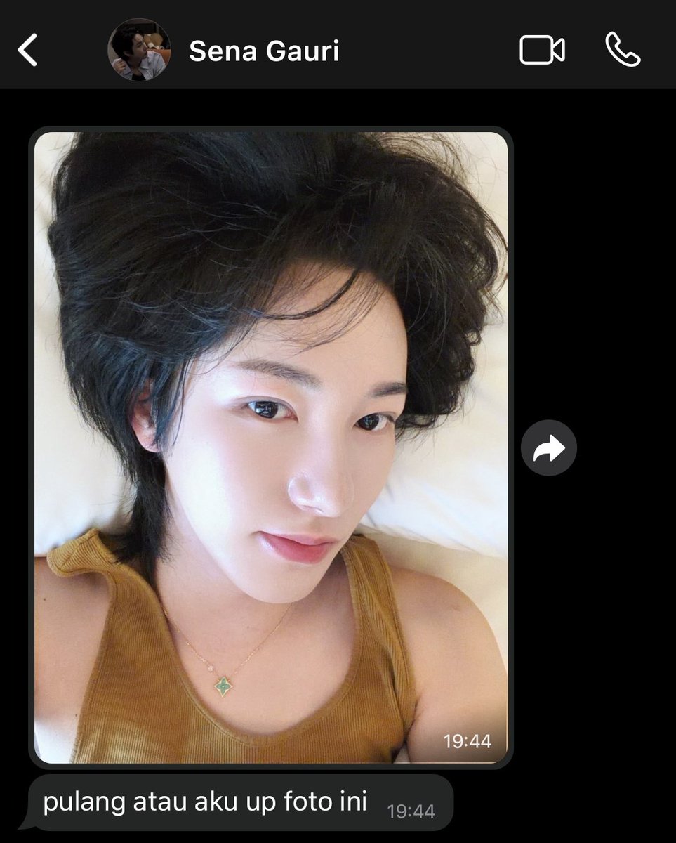 mogumogu tweet media