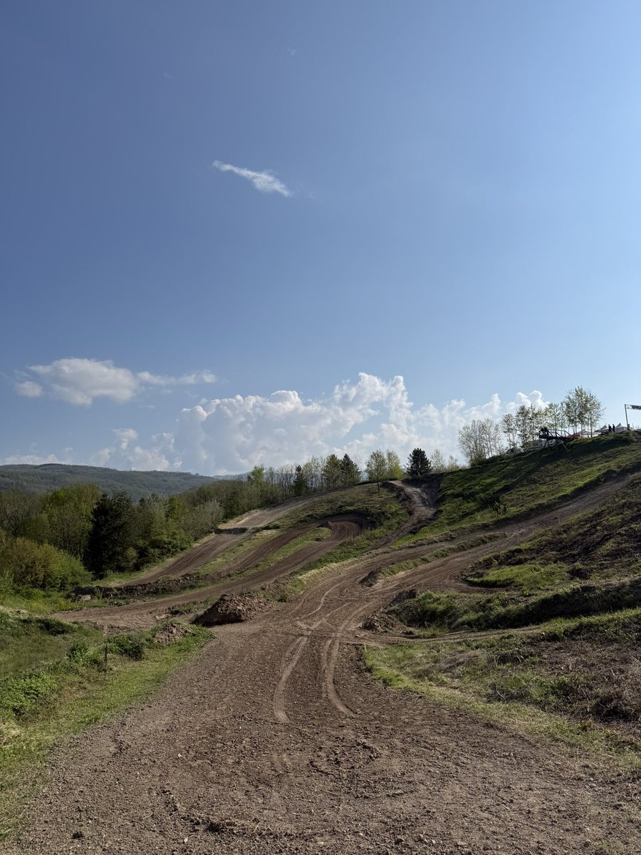 Zeka #75 tweet media