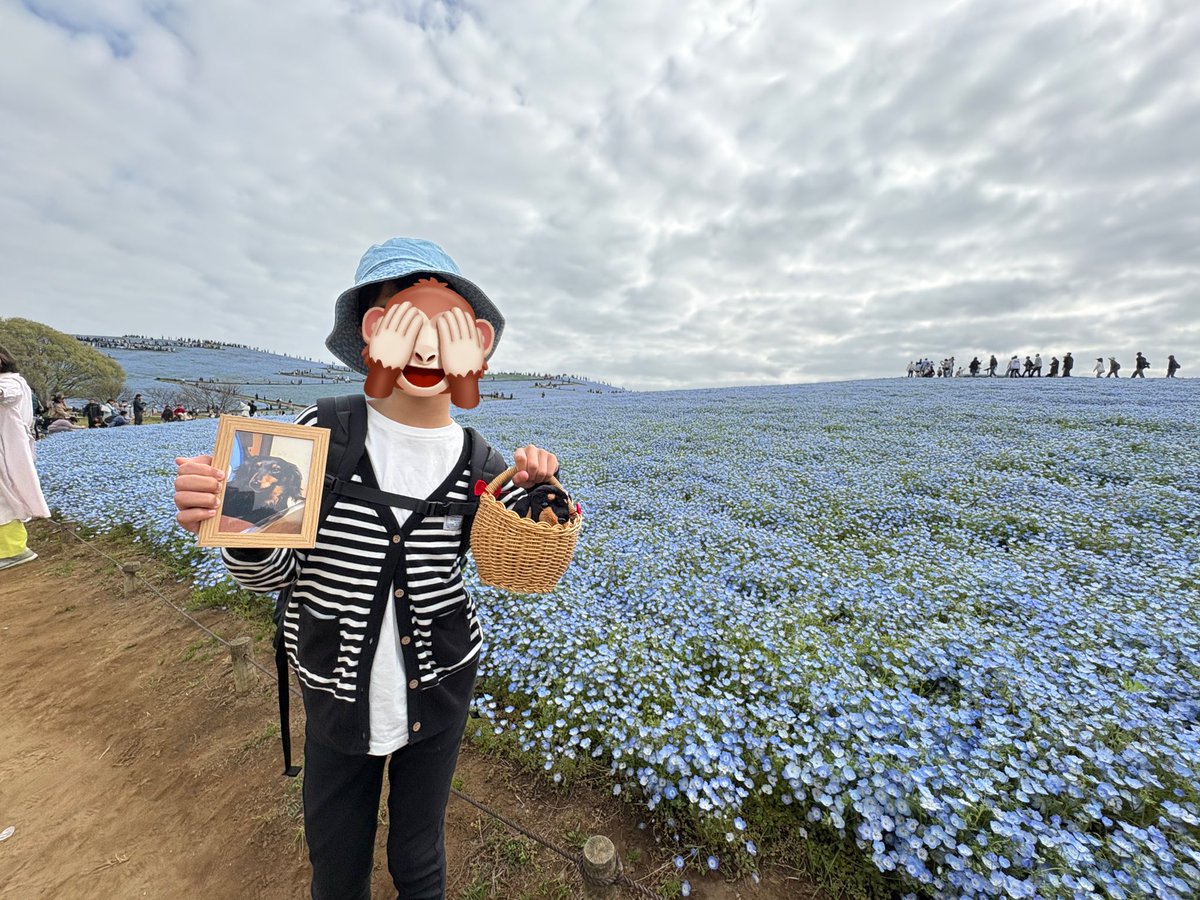 パンダ tweet media