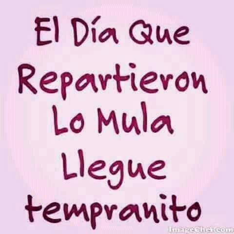 Sara💛🌻 tweet media