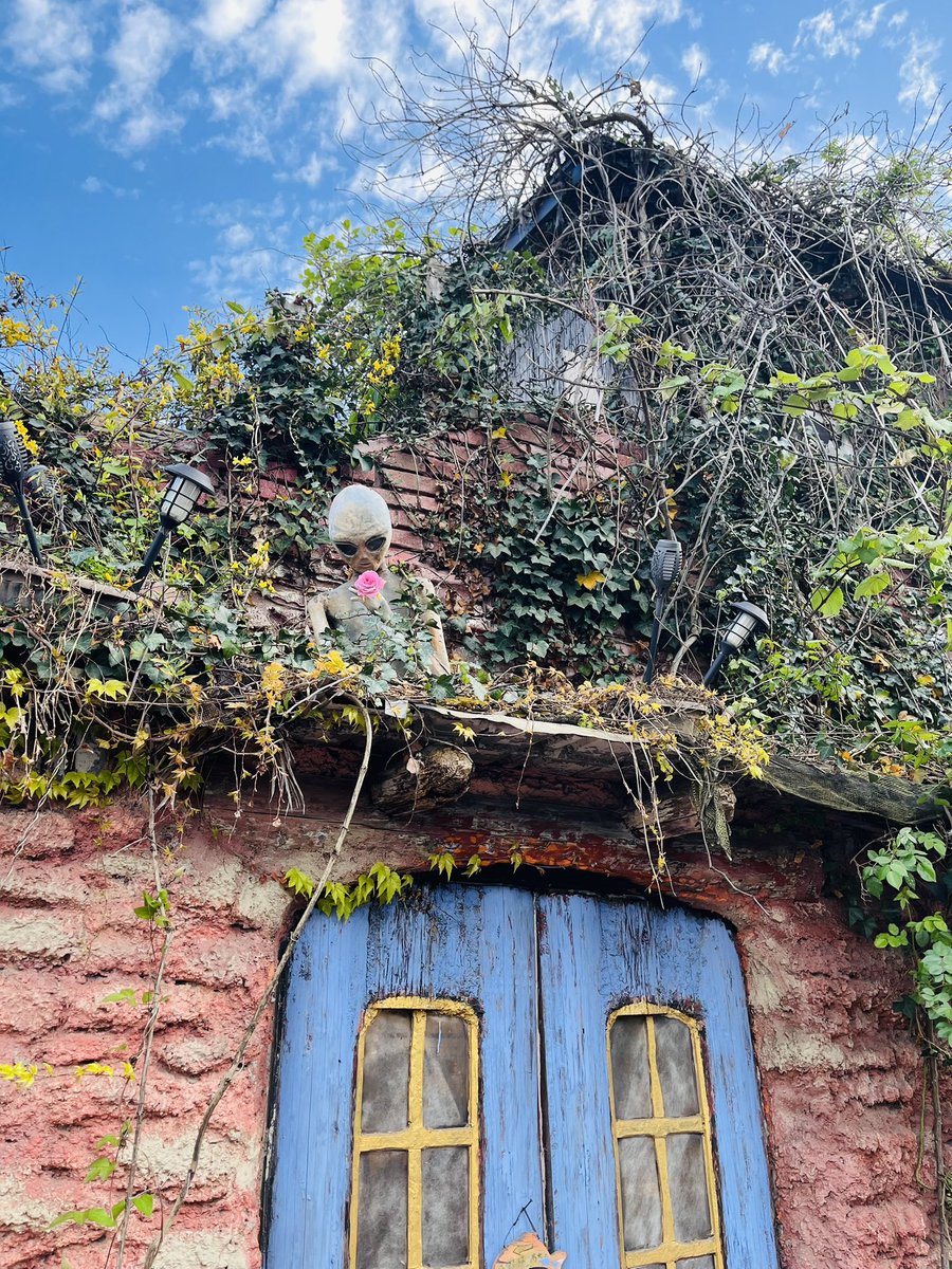 暖かくしてもらったりお花を愛でていて可愛かった👽🌸