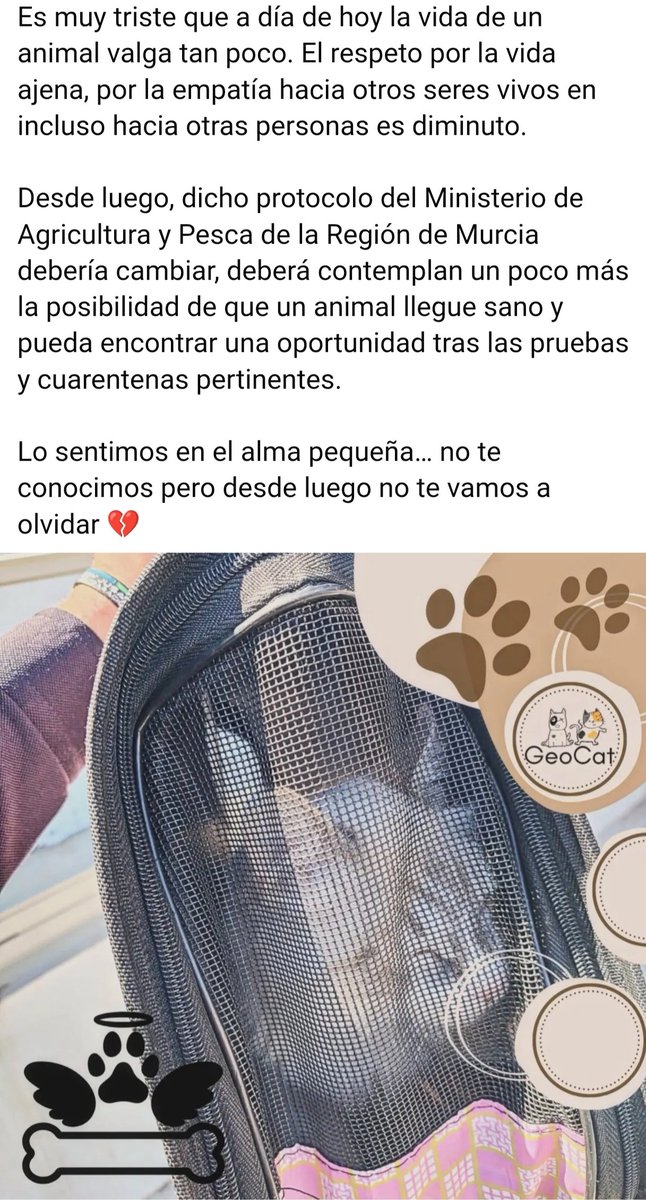 Nanci Paniagua tweet media