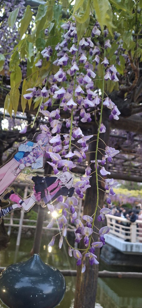 Castform_prsk's tweet photo. 亀戸天神社からのゲーセンいってきてぬいとってきた https://t.co/5ROpaGtuqg