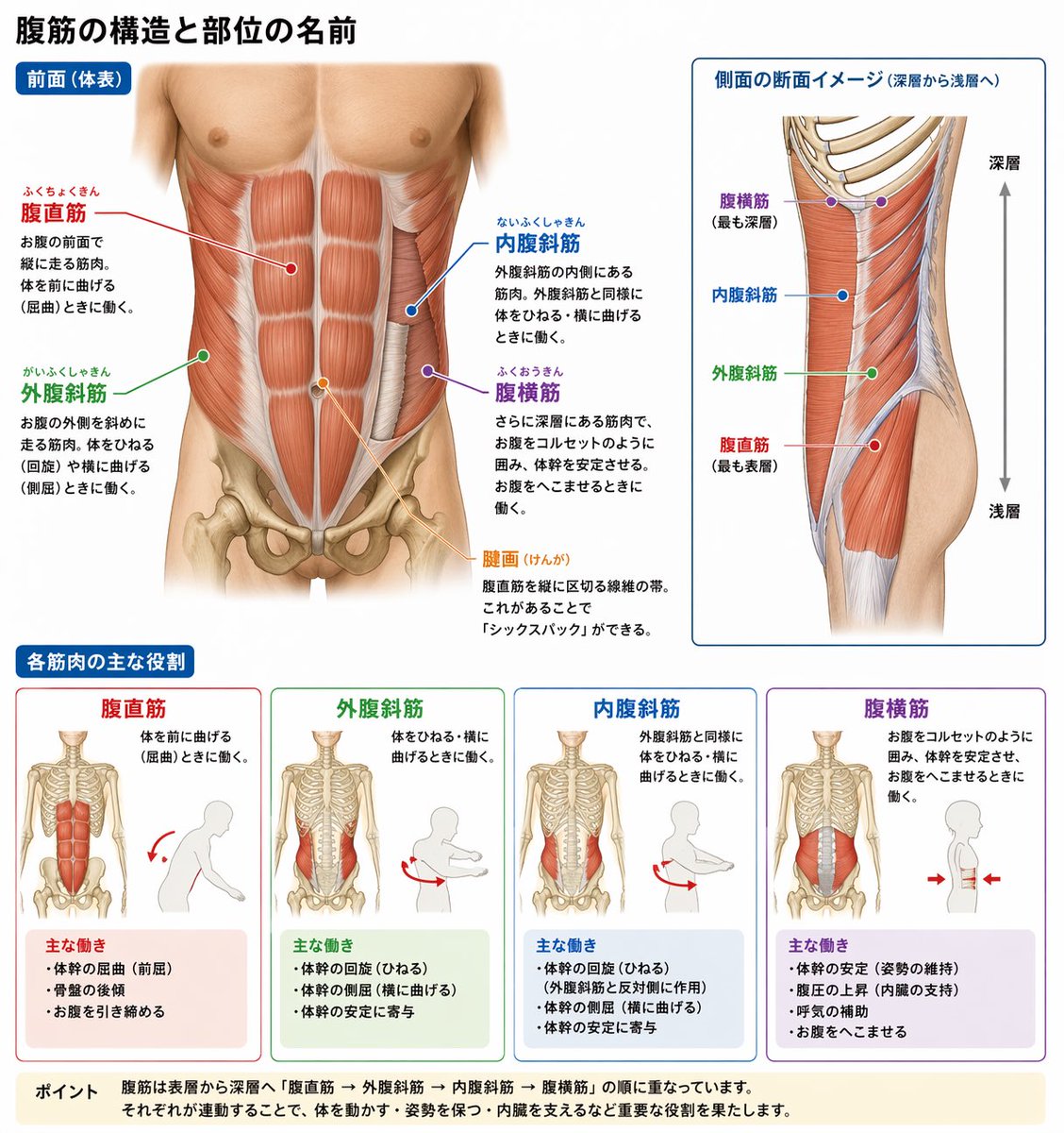 🐨まぴだ🌿 tweet media