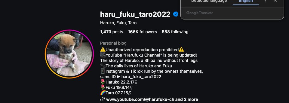 onlybondors tweet media