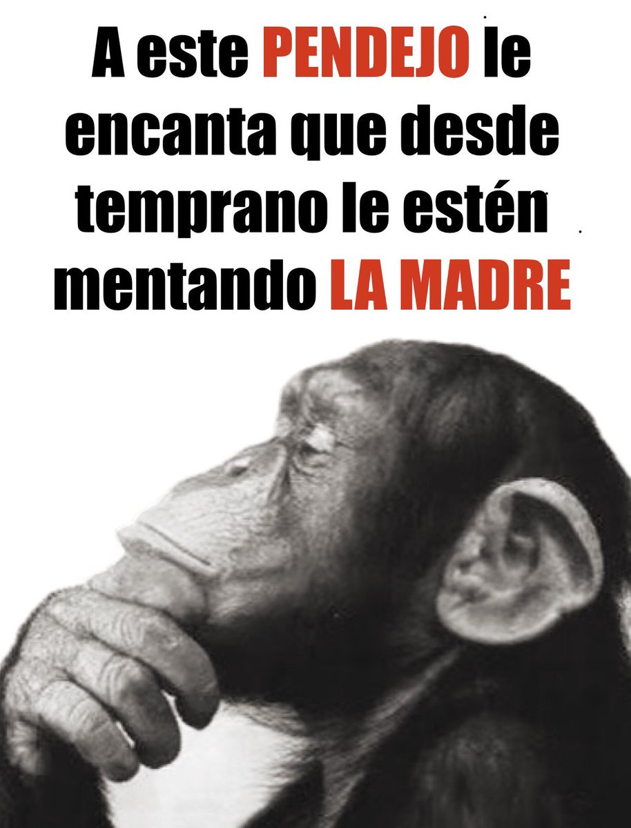 𝓥𝓻𝓪𝓷𝓯𝓪𝓭𝓮𝓻 ✍🏻 🇸🇻🩵 tweet media