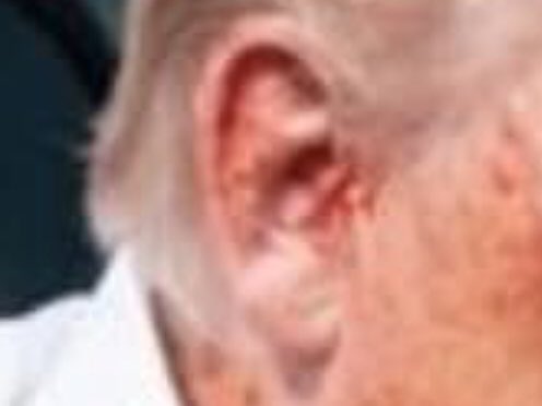 BigTuna331 tweet media