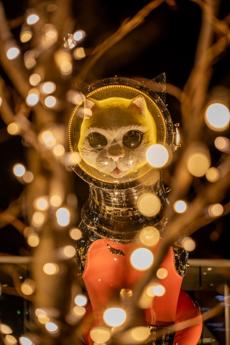 はるすけ tweet media