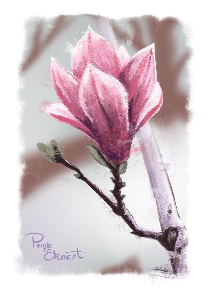 Purple🪷Element tweet media
