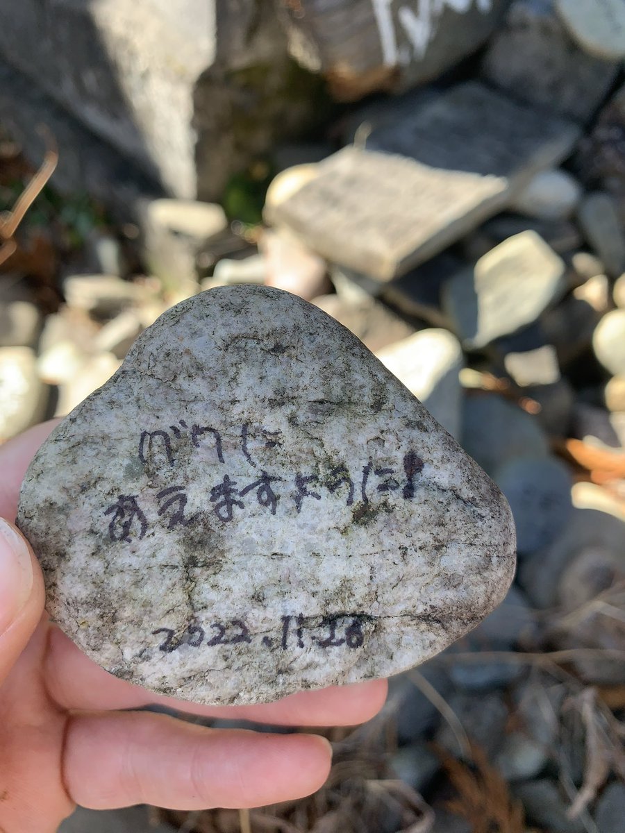 유ｽﾞ tweet media