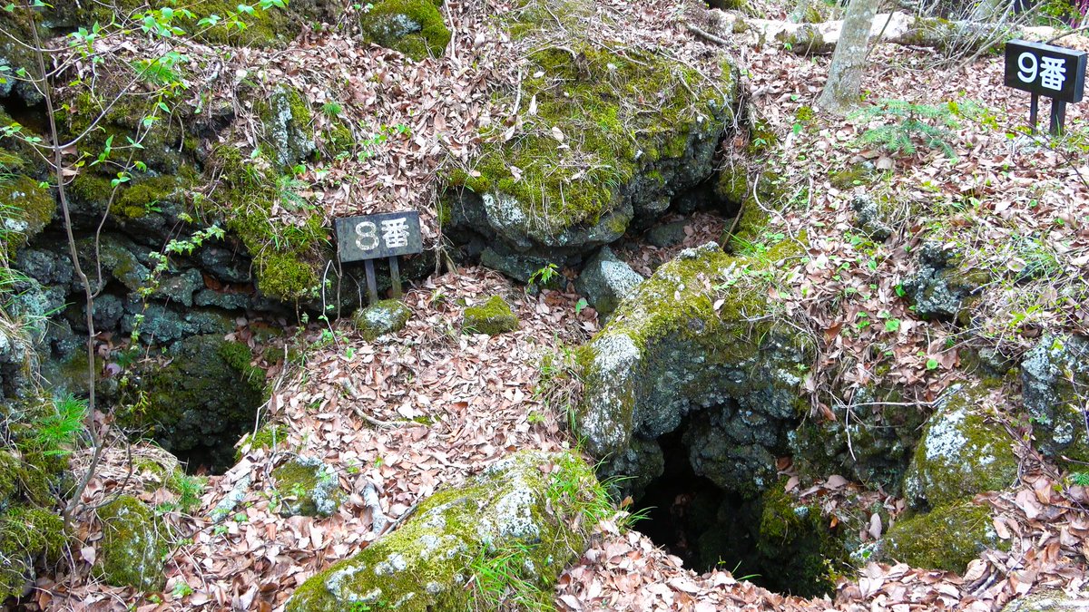 甘南備 歩(かんなび めぐる) 🥨 tweet media