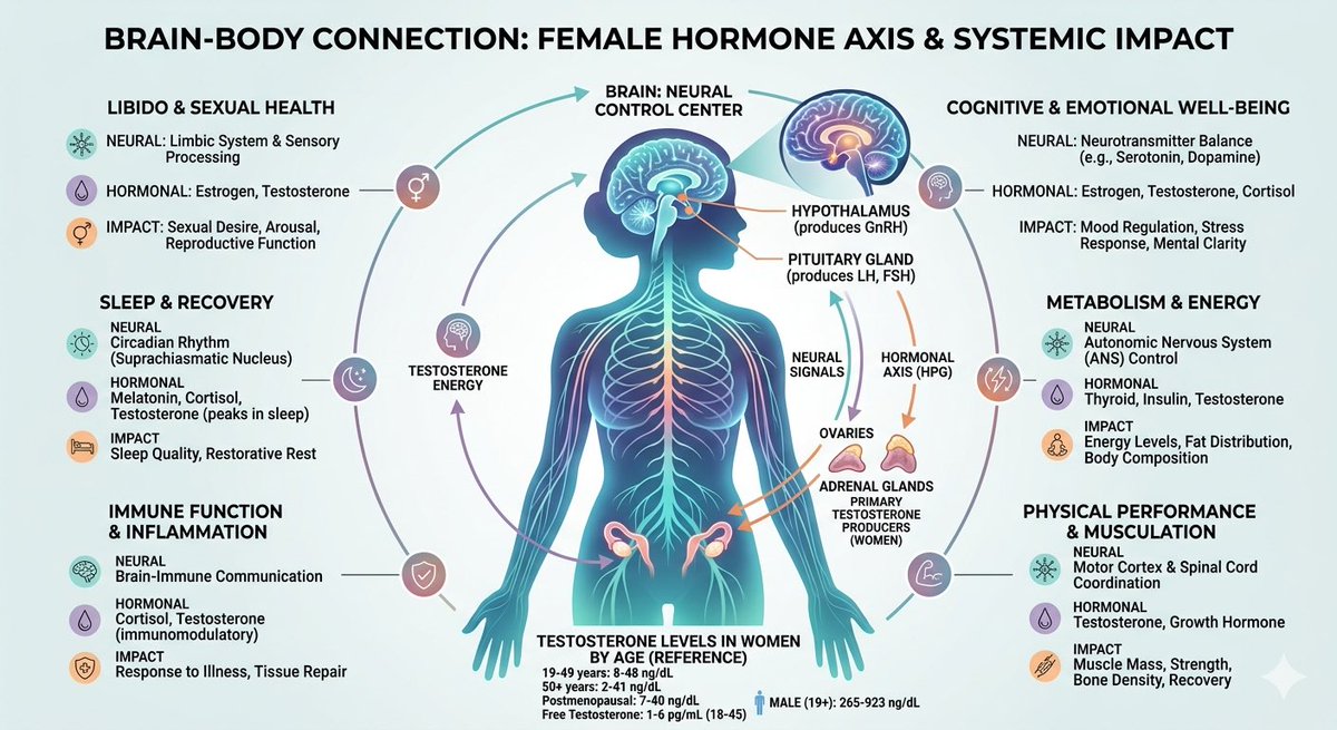 healthoptimize2's tweet image. Women don't need testosterone.

Also wrong.

Women need T at a lower but sufficient level to maintain: libido, energy, muscle mass, and mood.

When estrogen decreases (after 35–40 years old) but T is also low → fatigue, loss of interest, brain fog.

#WomenHealth #HormoneBalance