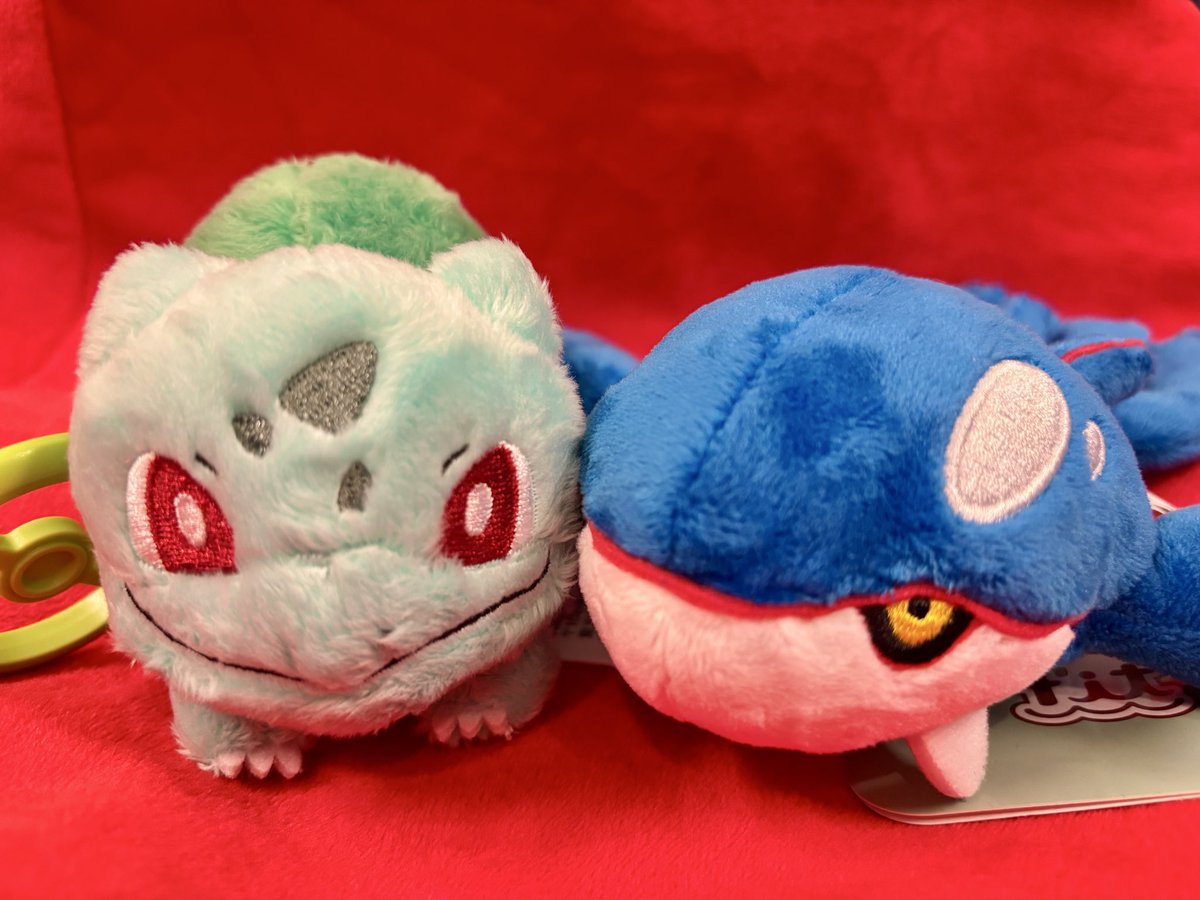 ちゅんた tweet media