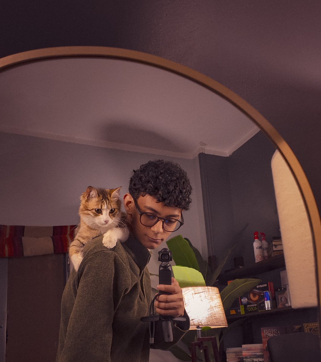 abdelrhman tweet media