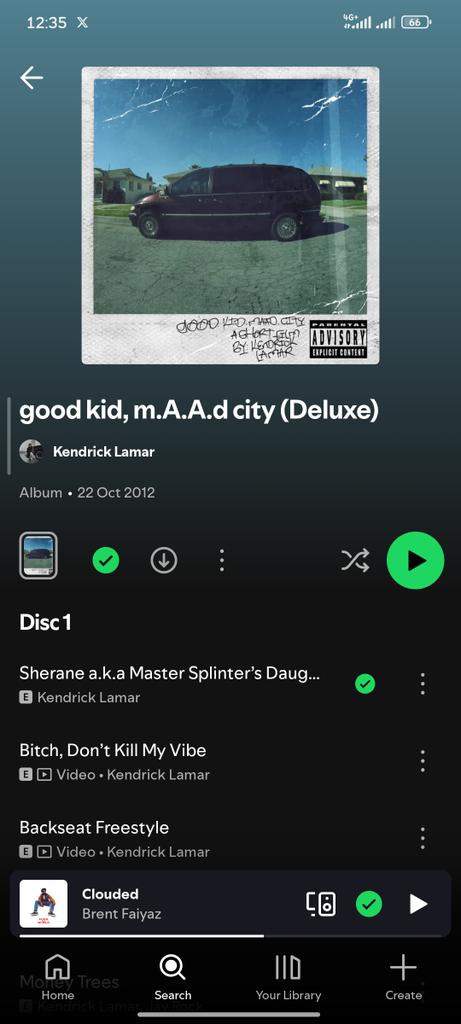 F🫩💫 tweet media