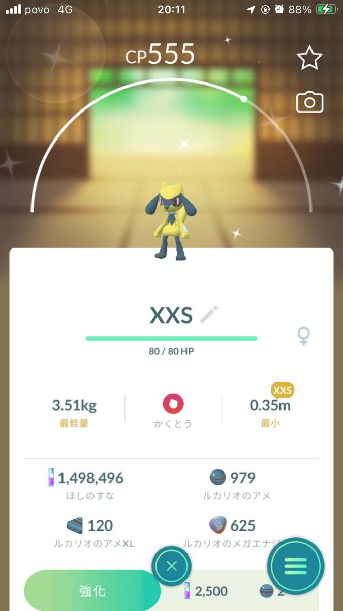 とろさん⭐︎@ポケモンGO tweet media