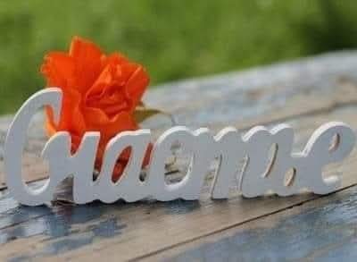 Tamara Pavlova tweet media