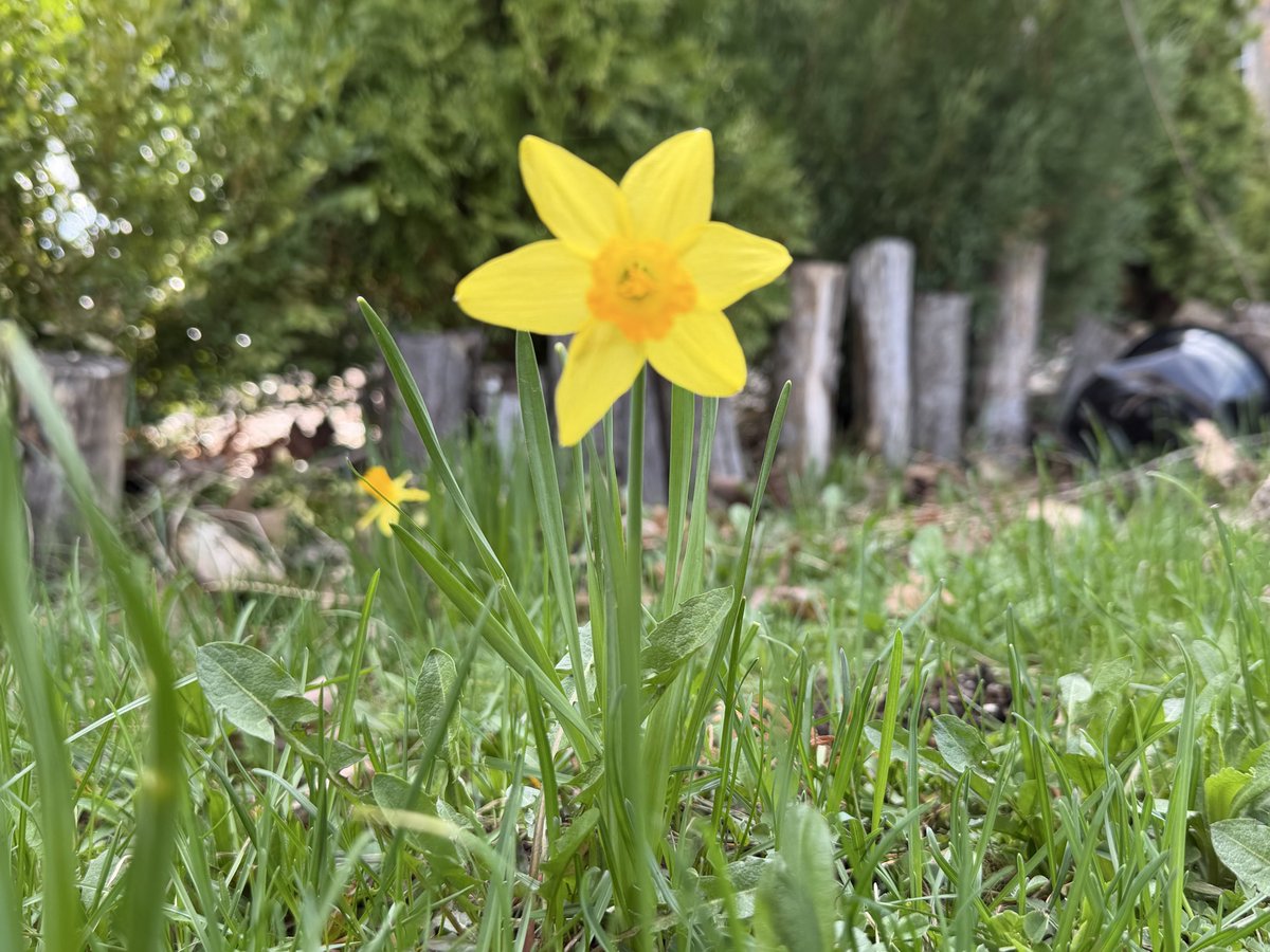 𝔼𝕝 ℙ𝕒𝕕𝕣𝕠𝕟𝕚 tweet media