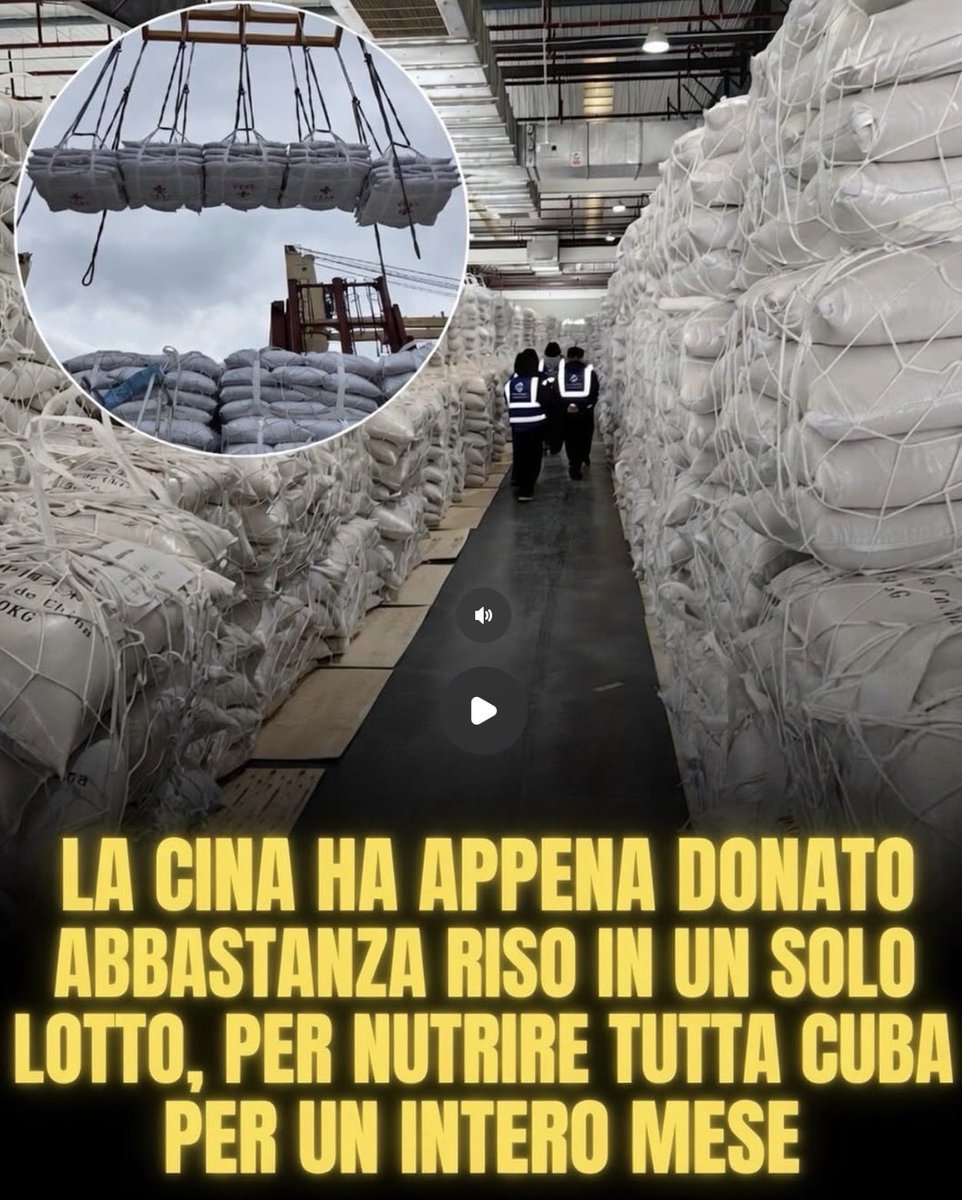 lisameyer🏥🌈⚡️ tweet media