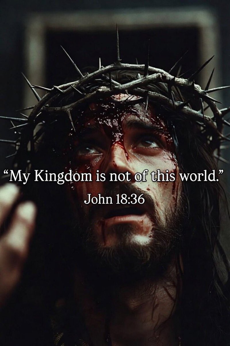 The Soul tweet media