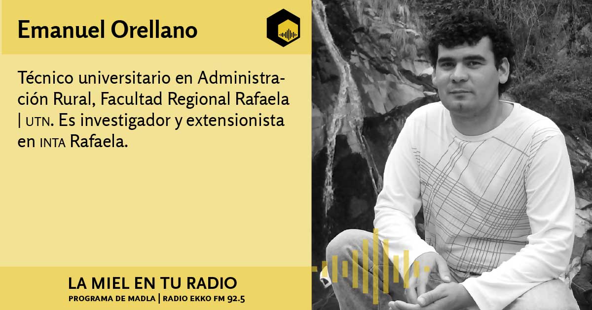 La Miel en tu radio tweet media