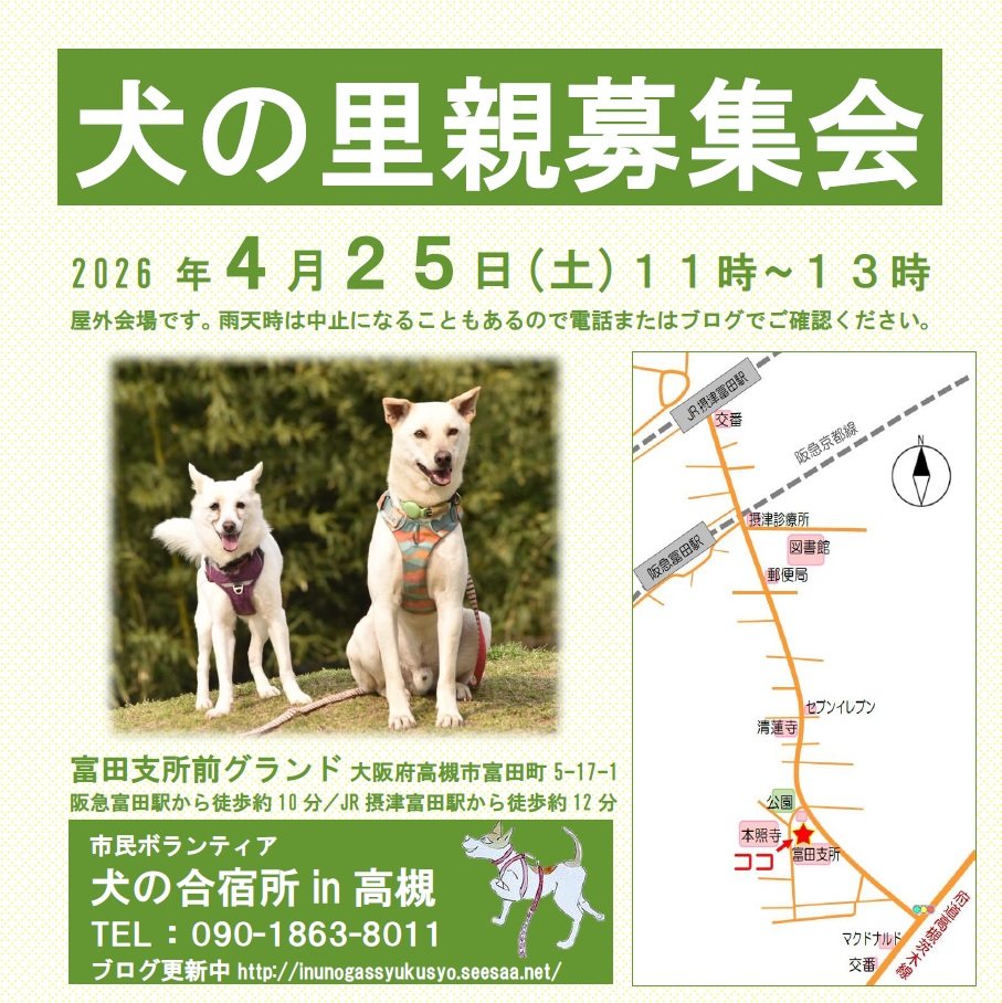 来週4月25日(土)に大阪府高槻市で犬の里親募集会を行います。
リンク先のブログ記事で 参加予定のワンコ達をご確認いただけます。
↓
inunogassyukusyo.seesaa.net/article/520391…