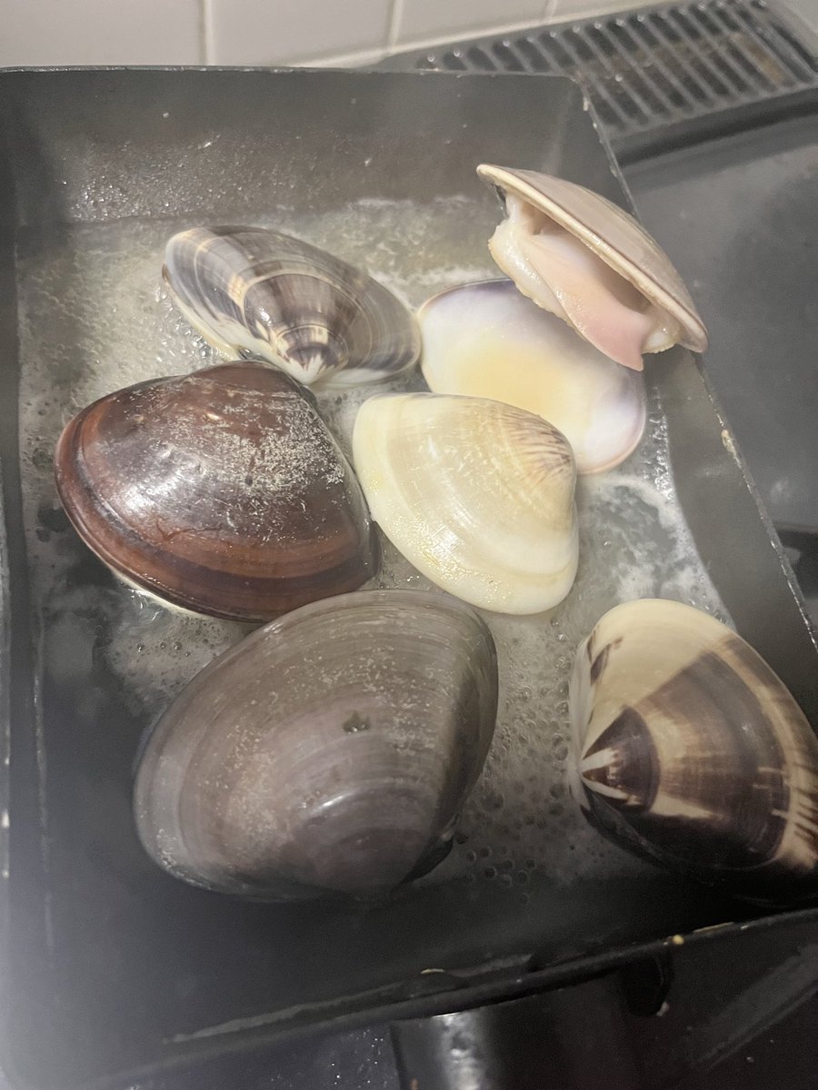 アベヒロ tweet media