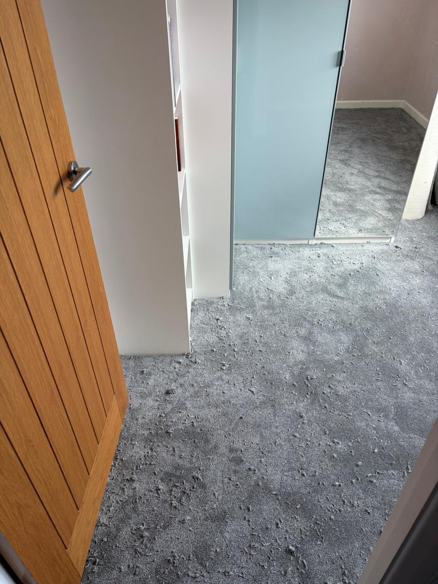 BlacklockCarpet's tweet image. Here we have a full house from the #Nottingham area, with brand new #Carpets throughout, from the Bedrooms to the Stairs/Landing.
We installed the EveryRoom Eastbourne Luxury in the colour Steel - A durable and easy to maintain flooring, perfect for the family home. 🏠 
#Beeston