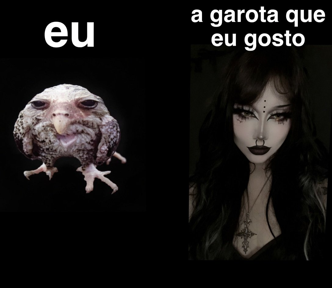 O Pinto Marcando (@opintomarcandu) on Twitter photo 