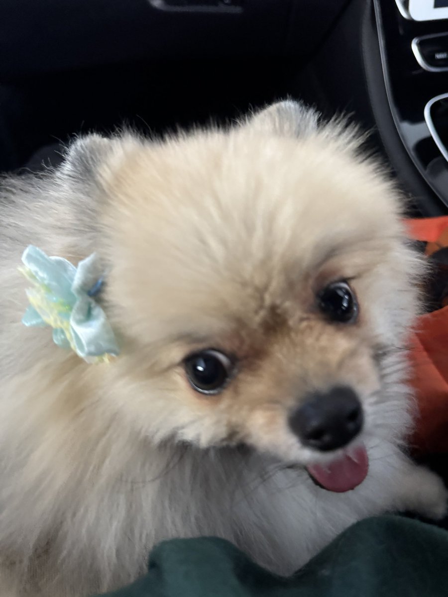 ここあ tweet media