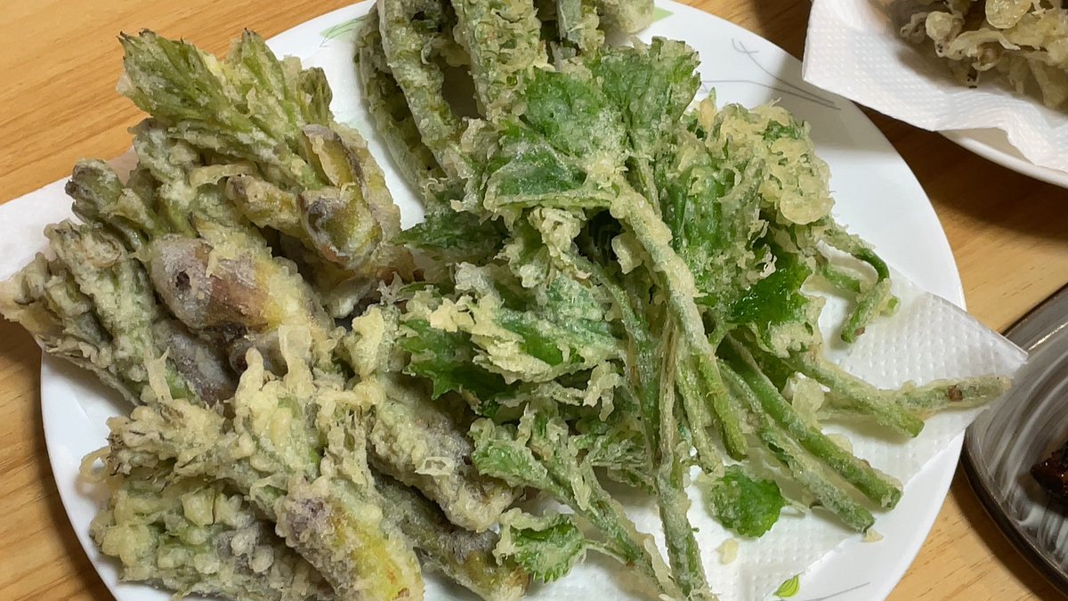 baldhead168's tweet photo. 夜の男飯😎

旬の山菜の天ぷら😊
舞茸は好きだから❤️

やっぱり旨い😋 https://t.co/DnGxoLUa2p