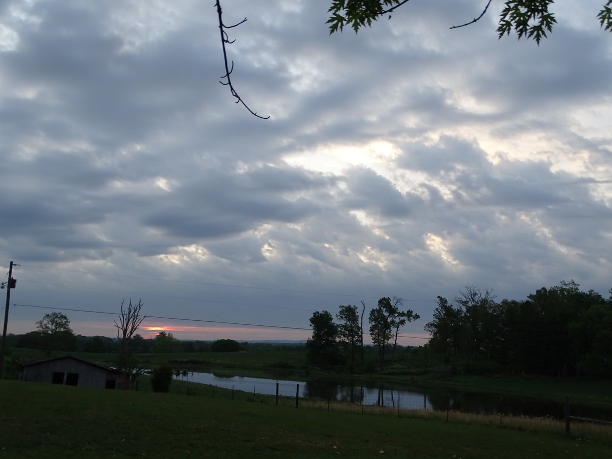 Sheryl Franklin tweet media