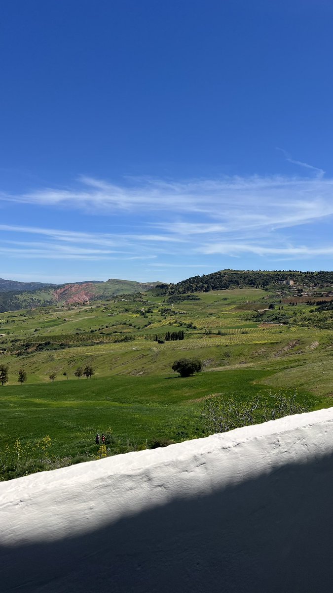 𝓜 𝒾 𝓈 𝓀 🌸 tweet media