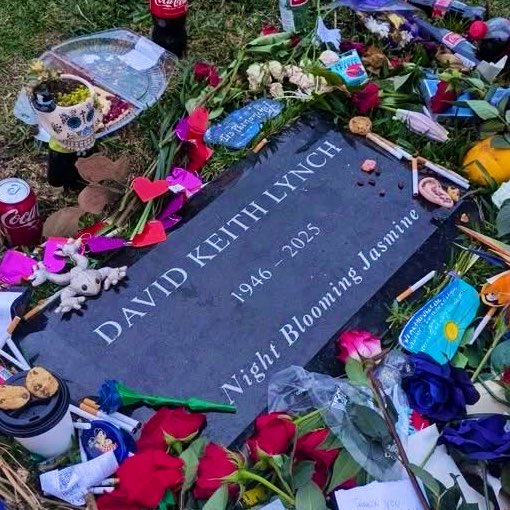 trapownia tweet media