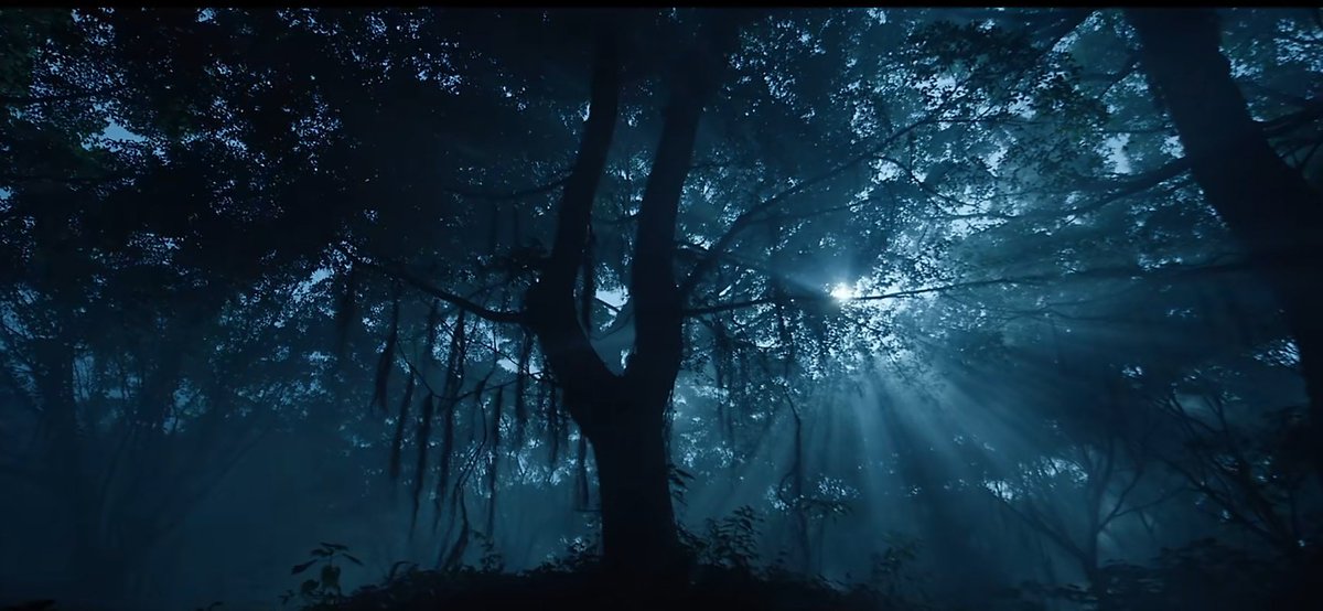 ⋆.𐙚 miao tweet media