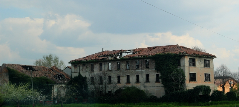 i9663vi's tweet image. Upgrade, Case Stanche.

Power By I9666VI, Edit By I9663VI, Cannon Eos 2000D 2026-04-11.

Full Album--&amp;gt; stepart.it/index.php/ffff…

#Stepart #nature #fotography #naturemagic #fotographies #naturelove