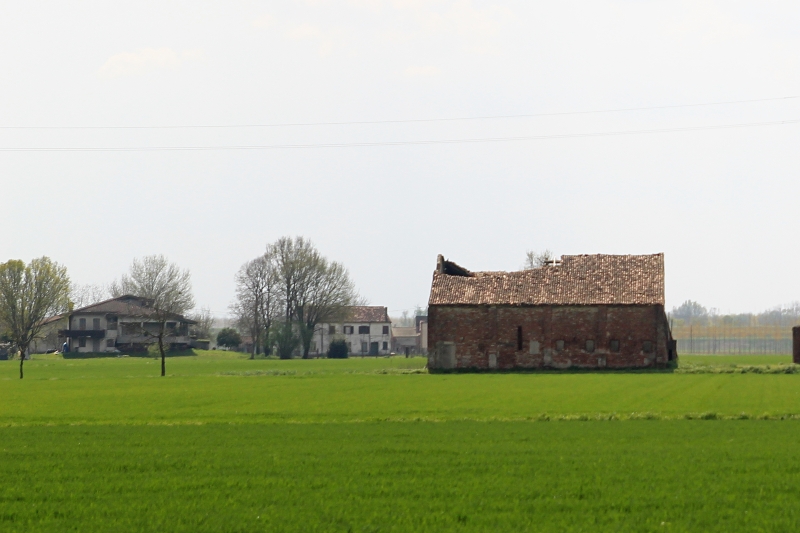 i9663vi's tweet image. Upgrade, Case Stanche.

Power By I9666VI, Edit By I9663VI, Cannon Eos 2000D 2026-04-11.

Full Album--&amp;gt; stepart.it/index.php/ffff…

#Stepart #nature #fotography #naturemagic #fotographies #naturelove