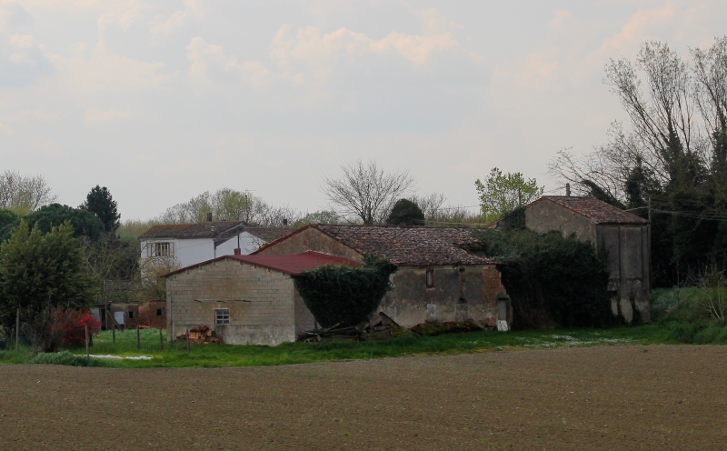 i9663vi's tweet image. Upgrade, Case Stanche.

Power By I9666VI, Edit By I9663VI, Cannon Eos 2000D 2026-04-11.

Full Album--&amp;gt; stepart.it/index.php/ffff…

#Stepart #nature #fotography #naturemagic #fotographies #naturelove