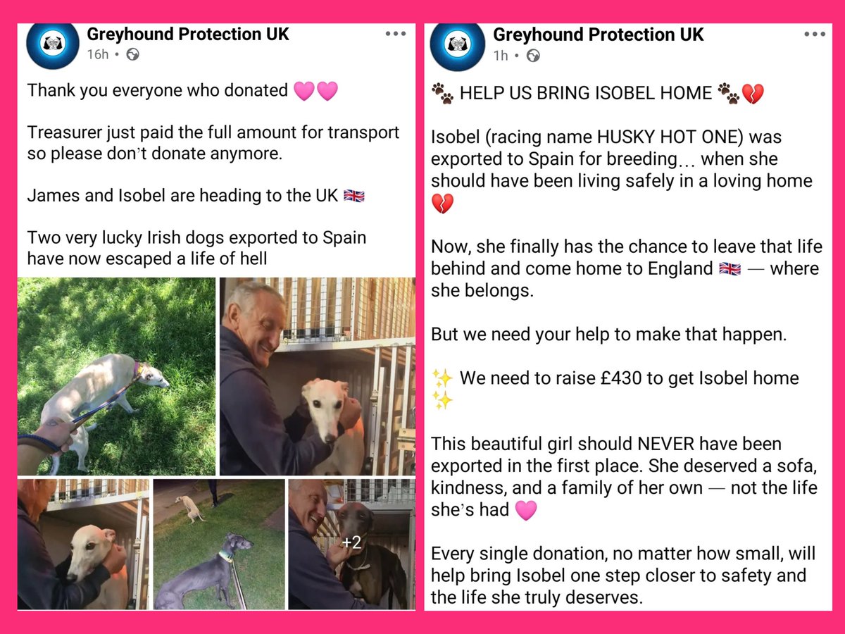 <a href="/greyhoundprouk/">Greyhound Protection UK</a> Why did you continue begging for donations long after you had the full amount and the dogs were already on the transport?
Did you think no one would notice?
<a href="/FundrRegulator/">FundraisingRegulator</a>