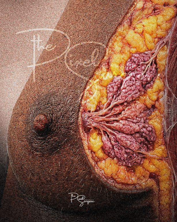 Thazhigilla_'s tweet photo. My name is Simon Thazhigilla Simon. 
I’m a Nigerian, and I create visual work.

I’m one of the best graphic designers you’ll come across.

One of my dreams is simple:
To create an interactive 3D atlas for Anatomy and Pathology that finally represents Black skin properly.
Here are some images in that direction!