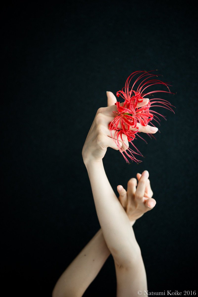 ぐるり tweet media