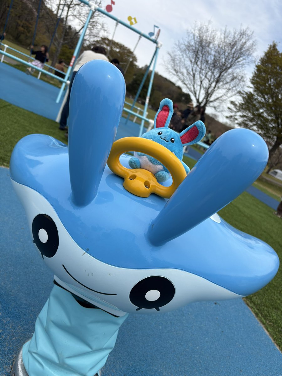 chiwapple's tweet photo. ラプラス公園🩵
全身水色コーデにマリルリを連れて
最高に満喫したアラサーです https://t.co/FW33C6jok3