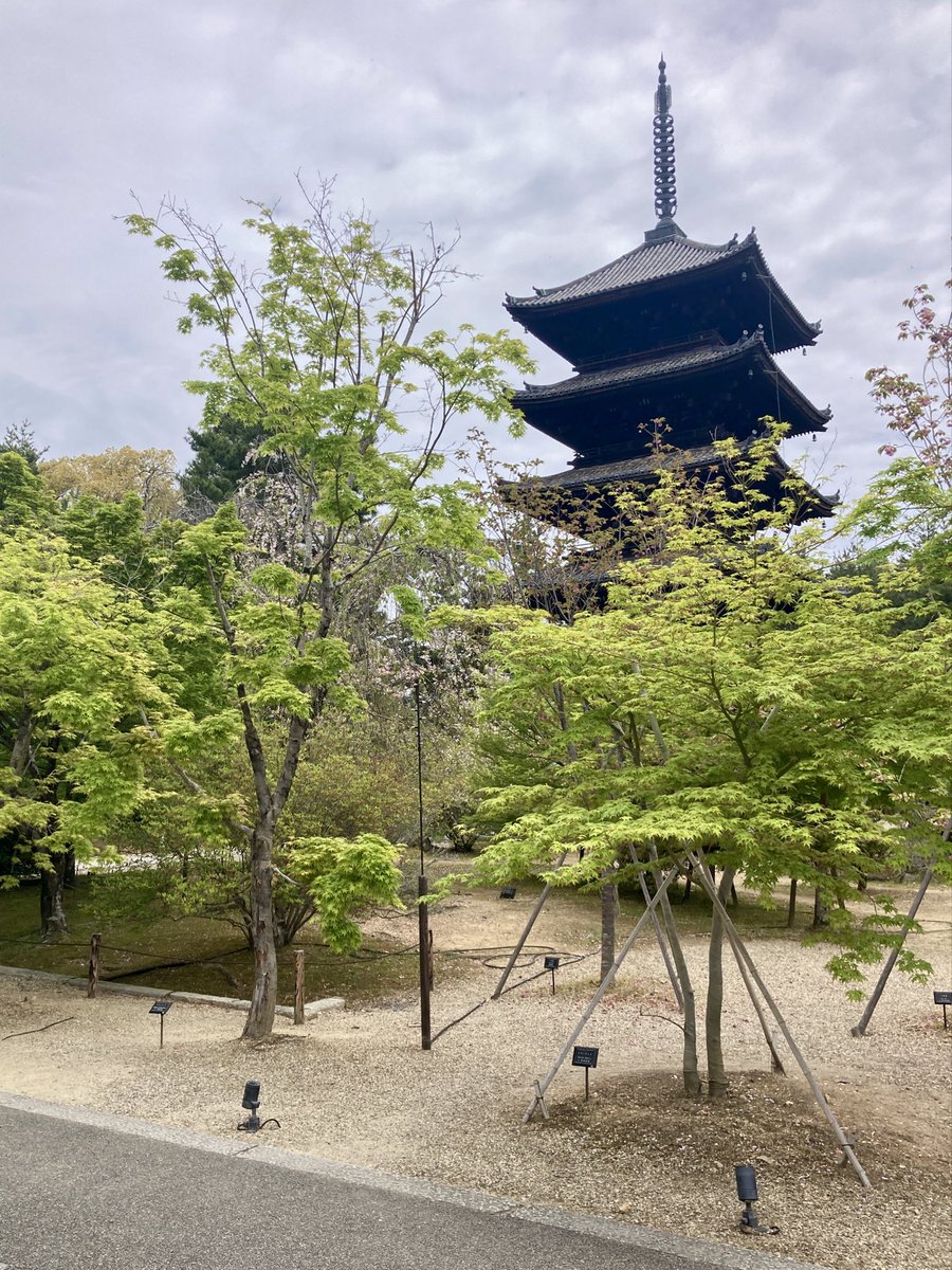 ー◯◯◯ tweet media